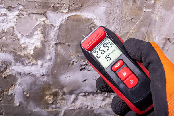 Best Emergency Mold Remediation in Canby, OR